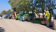 La protesta contro la discarica nella Bassa