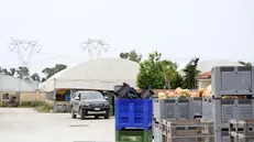 Foto azienda agricola Lovato