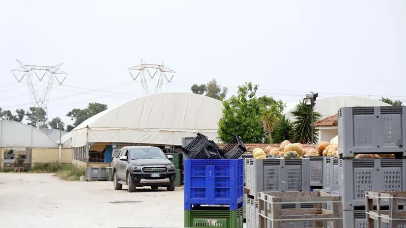Foto azienda agricola Lovato