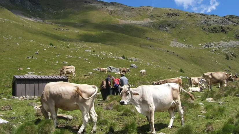 Un paesaggio di montagna - Foto © www.giornaledibrescia.it