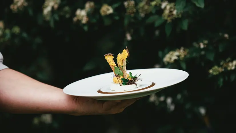 Un piatto gourmet