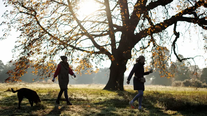 epa12414146 People walk their dogs in Hyde Park during a sunny and foggy autumn morning in London, Britain, 29 September 2025. A yellow fog warning has been issued for Greater London, Kent, Essex, Sussex, and Surrey by the Met Office for 29 September 2025, as rush-hour traffic is expected to be impacted by the weather conditions. EPA/TOLGA AKMEN