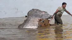 epa12446169 A person removes their belongings from a flooded area in Poza Rica, Mexico, 10 October 2025. Dozens of people were killed and several remain missing after heavy rains caused widespread flooding across Mexico. EPA/MIGUEL VICTORIA