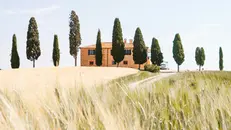 Il sogno di una coppia