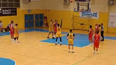 Un canestro della Lic Verolanuova - Foto Alieri