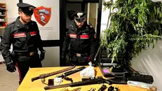 La pianta di marijuana e gli altri oggetti sequestrati a Pezzaze