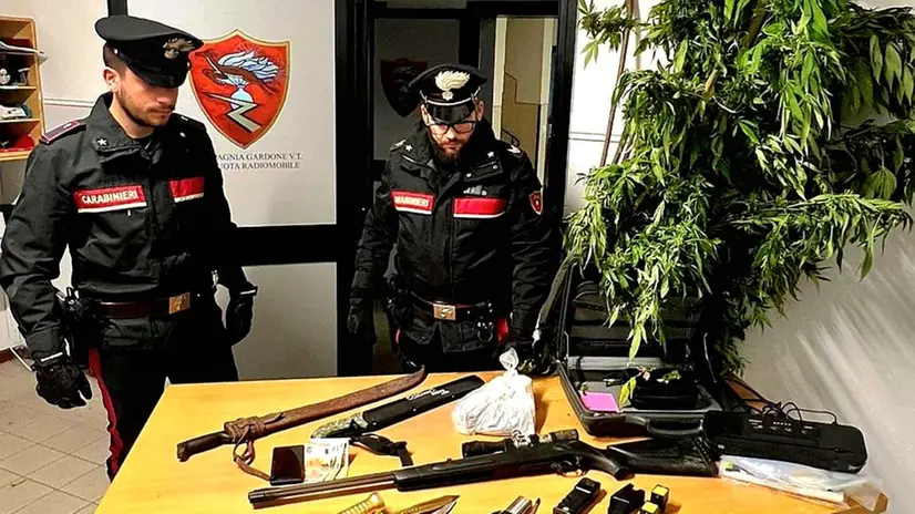 La pianta di marijuana e gli altri oggetti sequestrati a Pezzaze