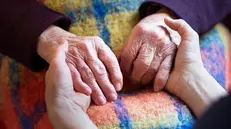 Il progetto è pensato per persone anziane e non autosufficienti © www.giornaledibrescia.it