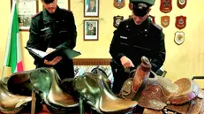 Le selle recuperate dai Carabinieri