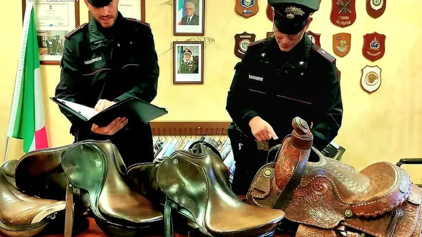 Le selle recuperate dai Carabinieri