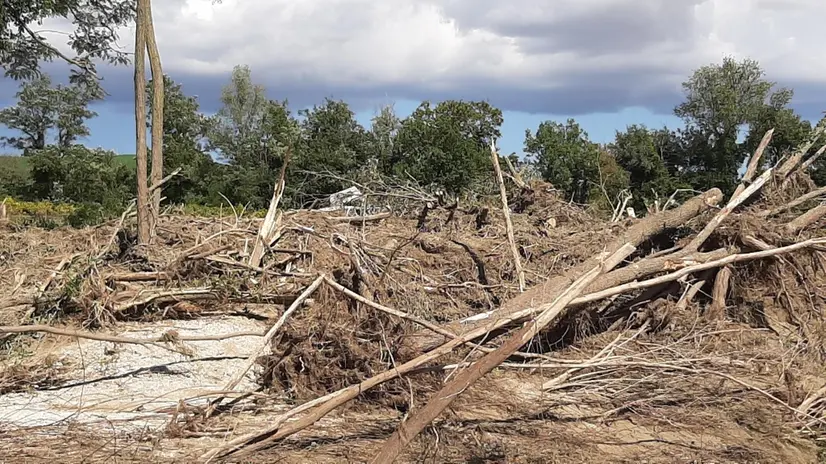 Maltempo: soccorsi 'accelerano' a Castelleone per Mattia