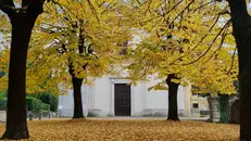 Uno scorcio autunnale di Mompiano, immortalato ieri