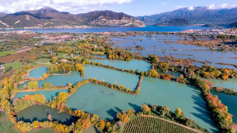 Una panoramica della riserva naturale