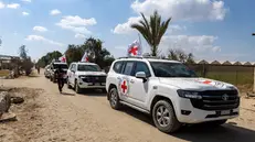 epa12450185 Vehicles of the International Committee of the Red Cross (ICRC) transport Israeli hostages handed over by Hamas in the south of Deir el-Balah, central Gaza Strip, 13 October 2025. The first phase of the Gaza peace agreement, reached between Israel and Hamas, includes the release of Israeli hostages and Palestinian prisoners, a partial withdrawal of Israeli forces, and the delivery of humanitarian aid to Gaza. EPA/HAITHAM IMAD