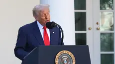 epa12454503 US President Donald J Trump hosts a Medal of Freedom Ceremony honoring Charlie Kirk in the Rose Garden of the White House in Washington, DC, USA, 14 October 2025. Conservative activist Charlie Kirk was killed last month during an event at Utah Valley University. EPA/Alex Wroblewski / POOL