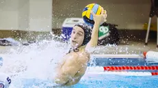 Ferrero dell'An