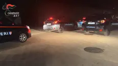 Undici persone sono state arrestate dai carabinieri stamani a Canosa di Puglia, nel nord Barese, con le accuse, contestate a vario titolo e in concorso, di tentato omicidio, detenzione e porto abusivo di armi clandestine ed esplosivi, spazio di sostanze stupefacenti. Si tratta di componenti di due gruppi criminali rivali che avrebbero innescato una faida tra loro con l'obiettivo di controllare lo smercio di droga in città. Gli indagati, tra cui c'è una donna, hanno una età compresa tra i 20 e i 50 anni. Sette di loro sono finiti in carcere, gli altri invece sono agli arresti domiciliari. L'operazione, denominata 'Indagine San Sabino' perché eseguita alla vigilia della festa patronale dedicata al vescovo diventato santo e protettore della città, è stata condotta dai carabinieri del comando provinciale di Barletta- Andria-Trani con il supporto dei carabinieri del sesto nucleo eliportato cacciatori di Puglia e dal nucleo cinofilo di Modugno (Bari). ANSA/US CARABINIEIRI +++ ++ANSA PROVIDES ACCESS TO THIS HANDOUT PHOTO TO BE USED SOLELY TO ILLUSTRATE NEWS REPORTING OR COMMENTARY ON THE FACTS OR EVENTS DEPICTED IN THIS IMAGE; NO ARCHIVING; NO LICENSING+++NPK