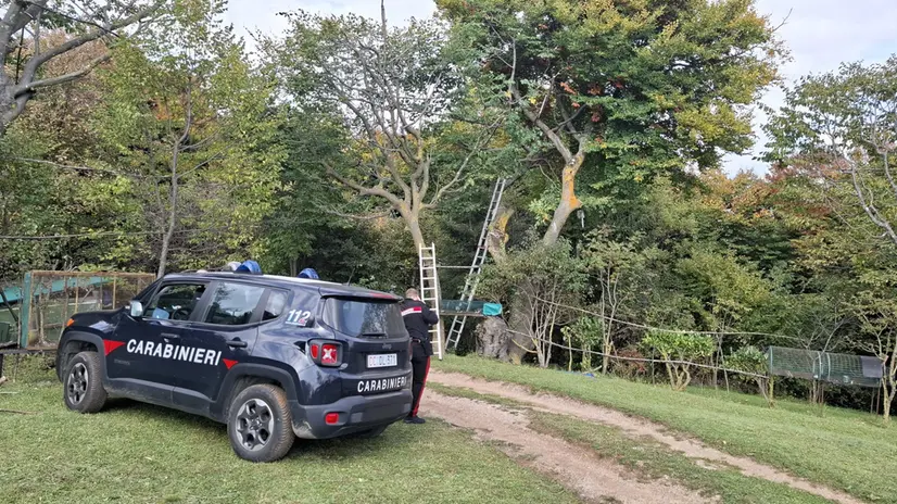 I carabinieri sul luogo dell'incidente - © www.giornaledibrescia.it