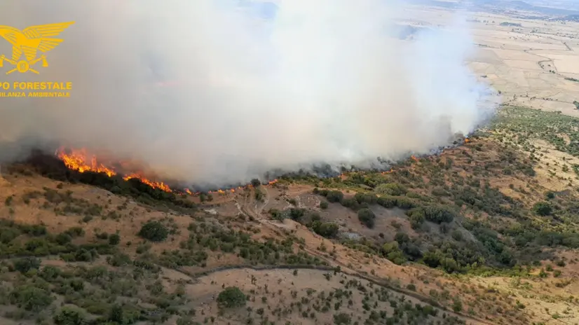 Fiamme in località Mula Menteda-Paule Renu, in Sardegna. In questa zona gli ispettori della Forestale hanno fermato un allevatore di 50 anni di Bonorva e gli hanno trovato addosso un innesco simile a quelli rinvenuti nei giorni precedenti sul luogo di analoghi roghi. L'uomo è ai domiciliari, accusato di essere il responsabile di almeno sette incendi appiccati tra i 2024 e 2025. ANSA/US Corpo forestale +++FOTO DIFFUSA DALL'UFFICIO STAMPA DEL CORPO FORESTALE - USARE SOLO PER ILLUSTRARE OGGI LA NOTIZIA INDICATA NEL TITOLO - NON ARCHIVIARE - NON VENDERE - NON USARE PER FINI NON GIORNALISTICI - NPK+++