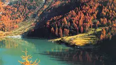 Un lago di montagna