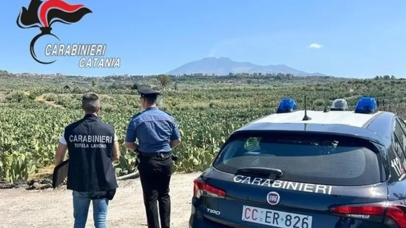 Carabinieri Catania del Nucleo ispettorato del lavoro (Nil)