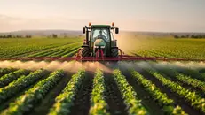 Stop all'urea nei campi - © www.giornaledibrescia.it