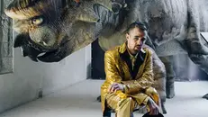 Marco D'Agostin, Asteroide