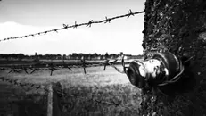 Quando l'antisemitismo intreccia l'antifascismo - © www.giornaledibrescia.it