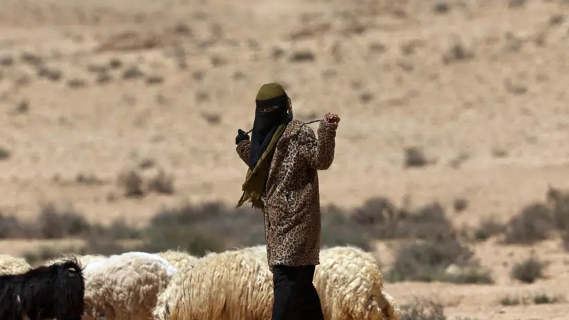 epaselect epa12035258 A Bedouin woman leads her flock near the Israeli-Egyptian border in the south of Israel, 16 April 2025. The border runs approximately 246 kilometers, from Rafah in the Gaza Strip to Eilat on the Red Sea. EPA/ATEF SAFADI