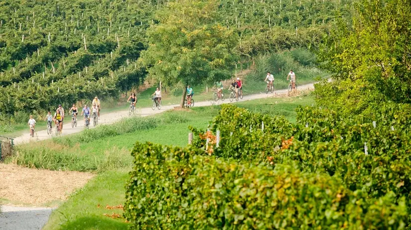 Una pedalata tra i vigenti - © www.giornaledibrescia.it