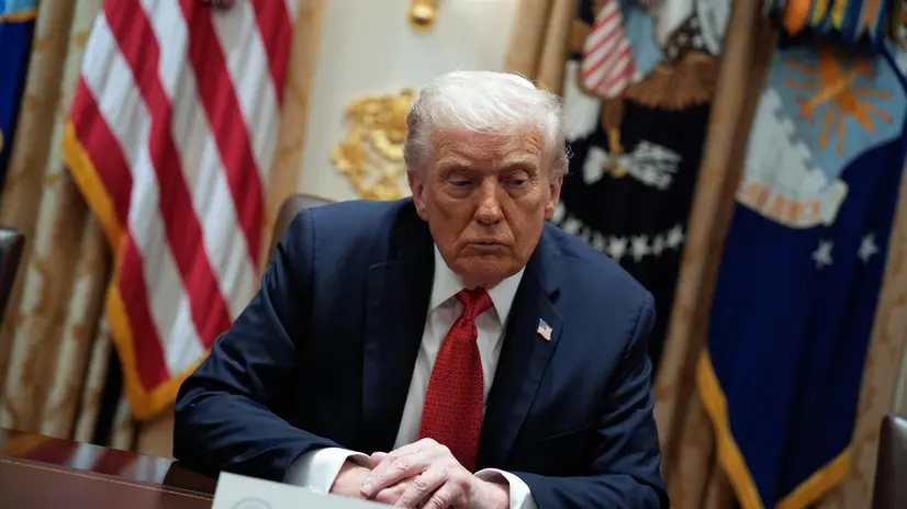 epa12468175 US President Donald Trump during a meeting with Australian Prime Minister Anthony Albanese in the Cabinet Room at the White House in Washington, DC, USA, 20 October 2025. EPA/YURI GRIPAS / POOL