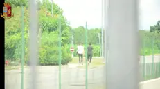 Frame---OPERAZIONE “CASA VERDE”: LA POLIZIA DI STATO DI VERCELLI SMANTELLA UN FIORENTE MERCATO DI DROGA