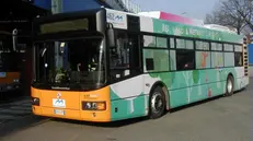 Un autobus di Brescia Trasporti - © www.giornaledibrescia.it