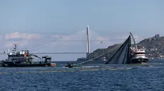 epa12469735 Several large fishing vessels hunt at the entrance of the Bosphorus of the Black Sea in Istanbul, Turkey, 21 October 2025. Civil society organizations say the damage being inflicted on the marine ecosystem by the increasing concentration of fishing vessels in the Bosphorus has reached irreversible levels. They also point out that the ever-increasing number of large fishing vessels is blocking fish migration routes and disrupting the migration cycle from the Black Sea to the Marmara Sea through wild hunting. According to data from the Ministry of Agriculture and Forestry, 290,068 tons of marine fish were caught in 2024. EPA/TOLGA BOZOGLU