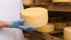 Un formaggio - © www.giornaledibrescia.it