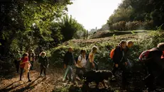 Il Trekking urbano dello scorso anno - © www.giornaledibrescia.it