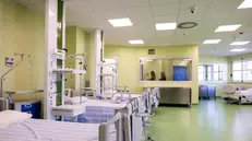 Sono stati inaugurati oggi, a quasi 100 giorni dalla grande deadline del Giubileo, alla presenza del presidente della Regione Lazio, Francesco Rocca, del presidente del Municipio XIV, Marco Della Porta, e del commissario della Asl Roma 1, Giuseppe Quintavalle, 77 posti letto di degenza del San Filippo Neri, 09 settembre 2024. I nuovi reparti sono nella palazzina B dell'ospedale e in particolare riguardano specialità di Neurochirurgia, Chirurgia vascolare, Otorinolaringoiatria e Cardiologia con un totale di 19 posti letto per piano e di 20 posti letto di Terapia Intensiva e Sub Intensiva, quest'ultima per i pazienti di complessità intermedia, nella adiacente Palazzina C. NPK ANSA / Ufficio Stampa Regione Lazio +++ ANSA PROVIDES ACCESS TO THIS HANDOUT PHOTO TO BE USED SOLELY TO ILLUSTRATE NEWS REPORTING OR COMMENTARY ON THE FACTS OR EVENTS DEPICTED IN THIS IMAGE; NO ARCHIVING; NO LICENSING +++