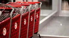 Si è ridotta la platea di chi riceve un sussidio