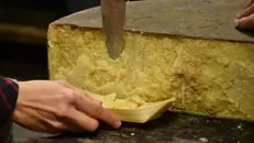 Il Bagoss