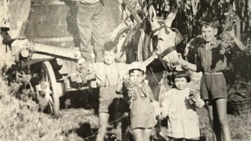 La vendemmia - © www.giornaledibrescia.it