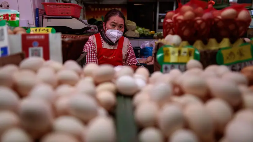 epa10445217 A woman sales eggs on the wet market, in Shanghai, China, 03 February 2023. Bird flu spreads in Asia, with the first human case reported in Hong Kong. The man, who resided in Mainland China, was in critical condition while admitted for treatment last November. This week, Hong Kong’s Centre for Health Protection (CHP) announced the monitoring of a human case of bird flu (H5N6). Since October last year, Japan reported 60 HPAI outbreaks, while South Korea confirmed 63 outbreaks, all liked to the H5N1 serotype. EPA/ALEX PLAVEVSKI