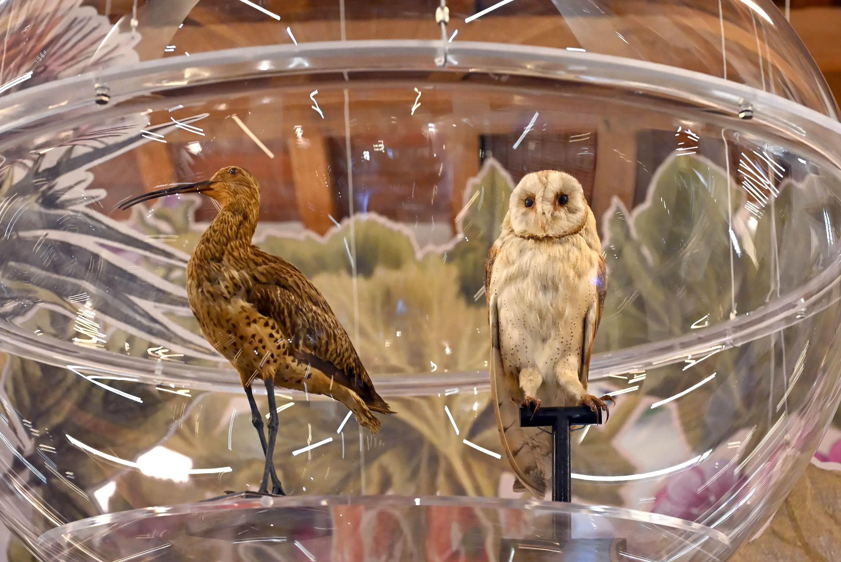 In Castello la mostra Elogio della diversità