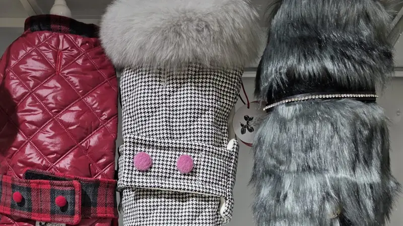 Cappottini per cani da Olivia Boutique