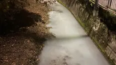 Lo sversamento nel torrente Re a Gardone Val Trompia - © www.giornaledibrescia.it