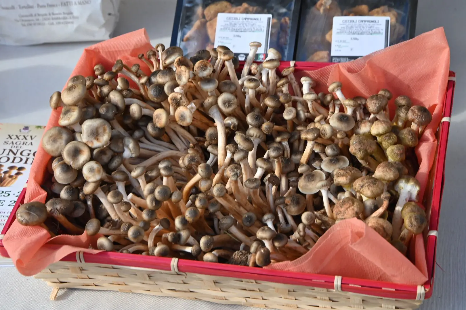 «In Piazza con Noi» a Dello per la Sagra del Chiodino