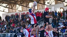 Rugby, gli scatti di Rovato-Bassa Bresciana
