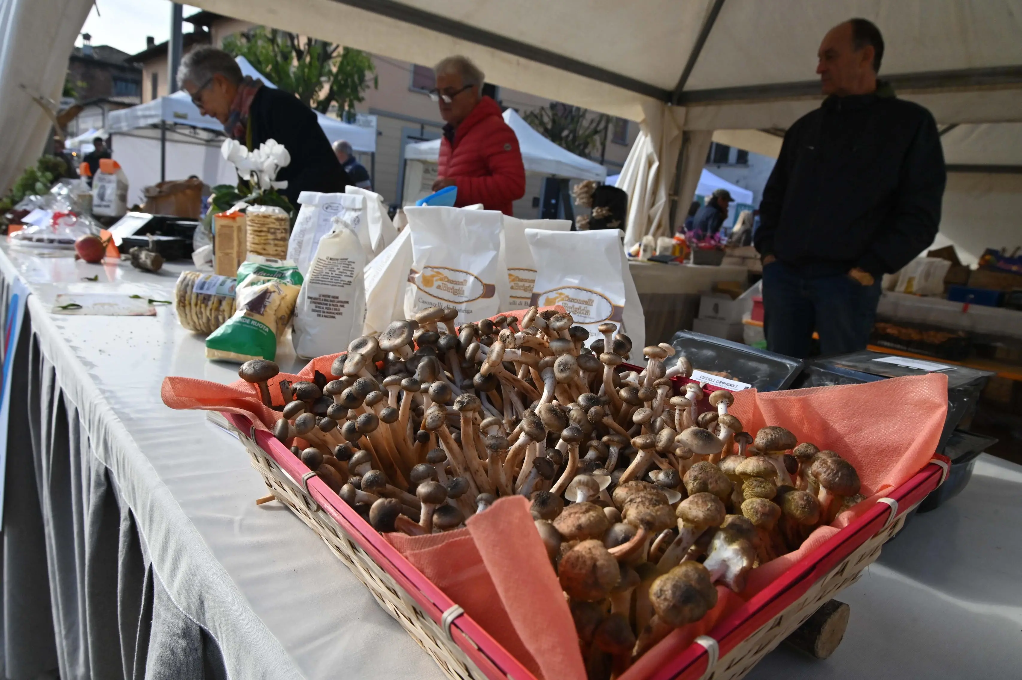 DELLO IN PIAZZA CON NOI  REDAZIONE PROVINCIA 26-10-2025  GABRIELE STRADA NEW EDEN GROUP