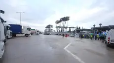 Operai dei servizi bloccano l'ingresso merci allo stabilimento Stellantis di Cassino, Piedimonte San Germano, 04 dicembre 2024. ANSA / ANTONIO NARDELLI