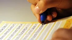 Un bambino a scuola - © www.giornaledibrescia.it