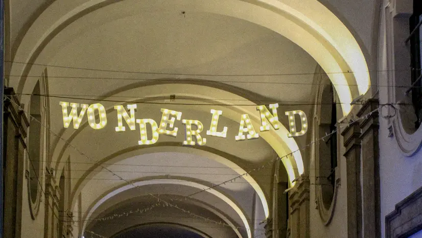 Il Wonderland Festival a Mo.Ca.